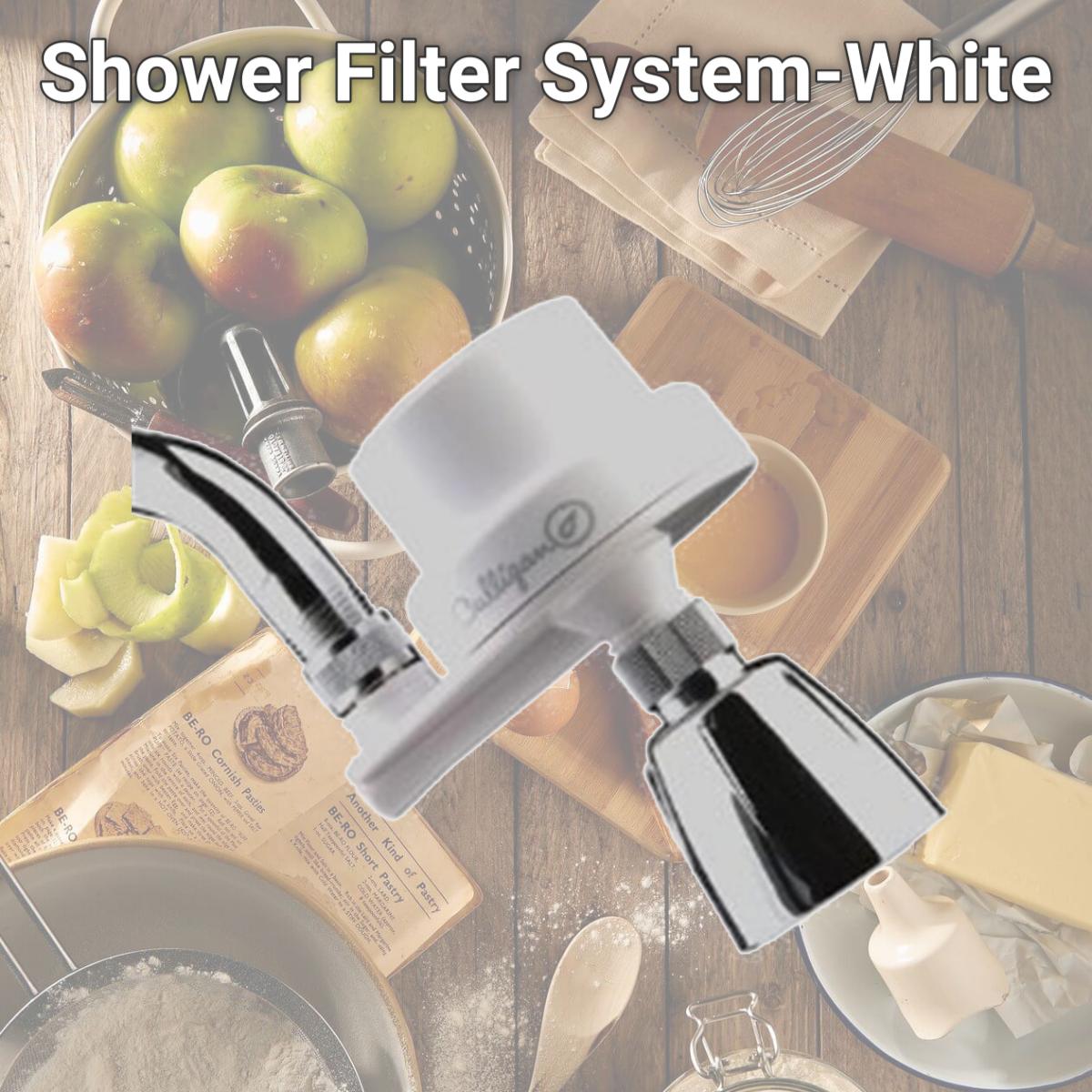 Picture of Culligan CULLIGAN-ISH-100 Shower Filter System-White