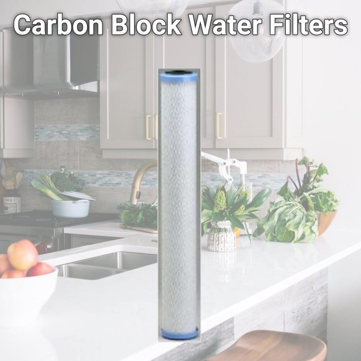 Picture of Pentek PENTEK-EPM-20 Carbon Block Water Filters