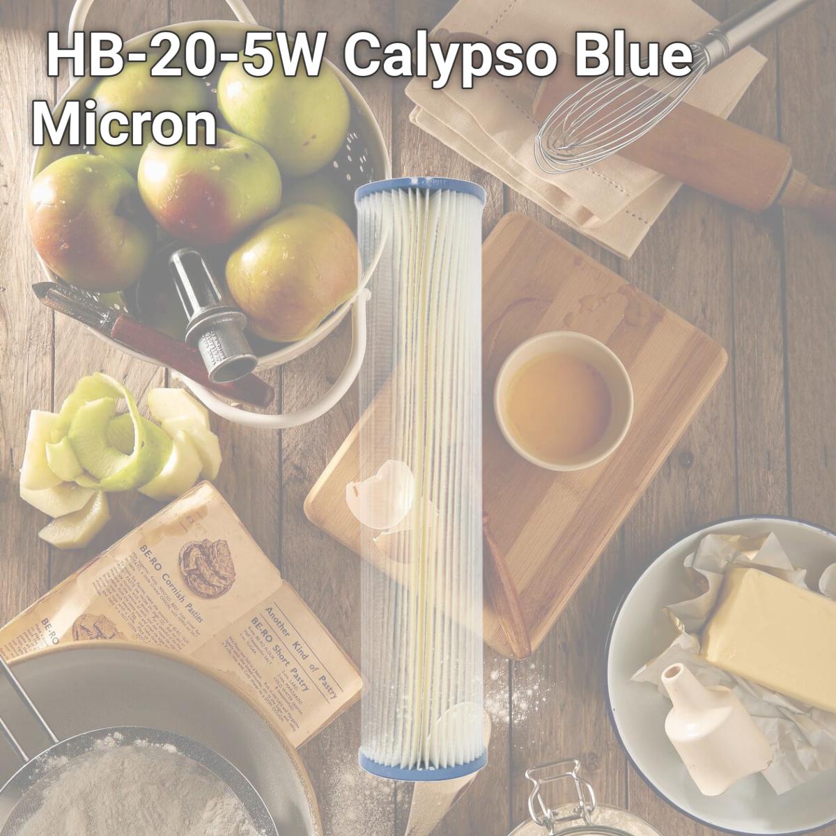 Picture of Harmsco HB-20-5W Calypso Blue Micron