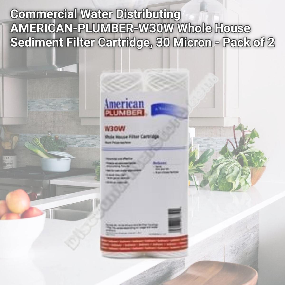 Picture of Commercial Water Distributing AMERICAN-PLUMBER-W30W Whole House Sediment Filter Cartridge, 30 Micron - Pack of 2