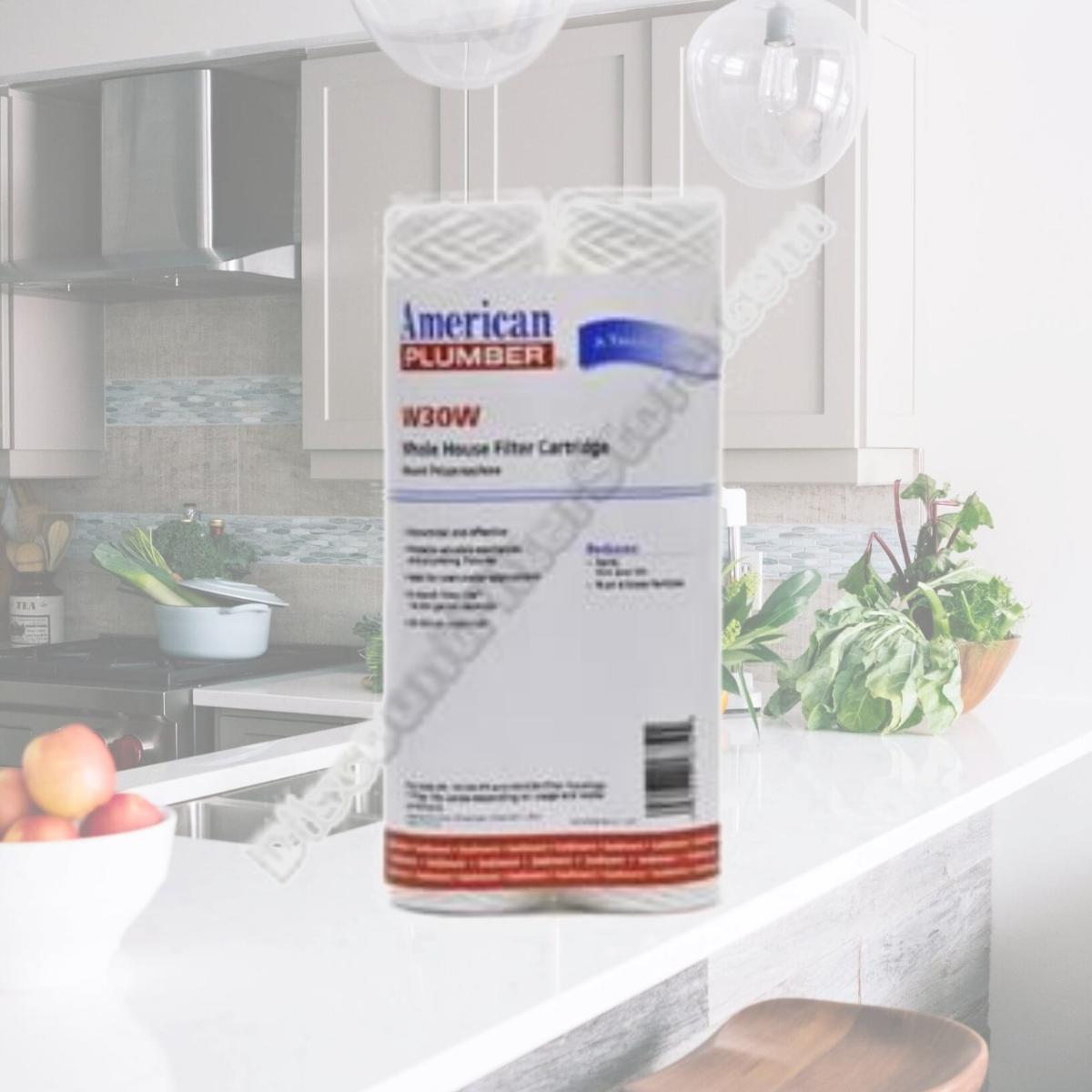 Picture of Commercial Water Distributing AMERICAN-PLUMBER-W30W Whole House Sediment Filter Cartridge, 30 Micron - Pack of 2