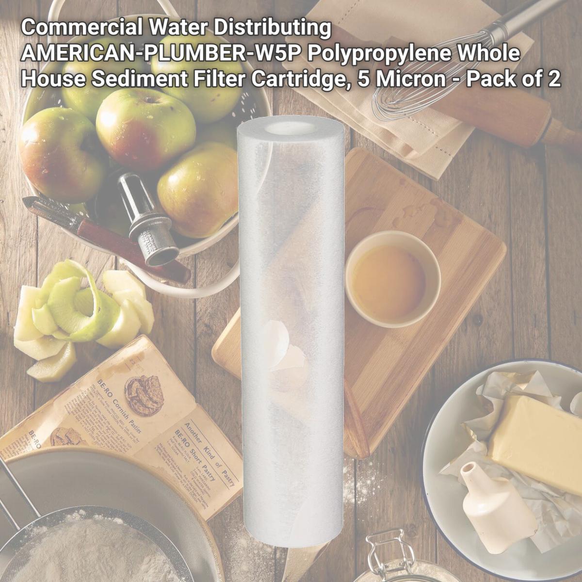 Picture of Commercial Water Distributing AMERICAN-PLUMBER-W5P Polypropylene Whole House Sediment Filter Cartridge, 5 Micron - Pack of 2
