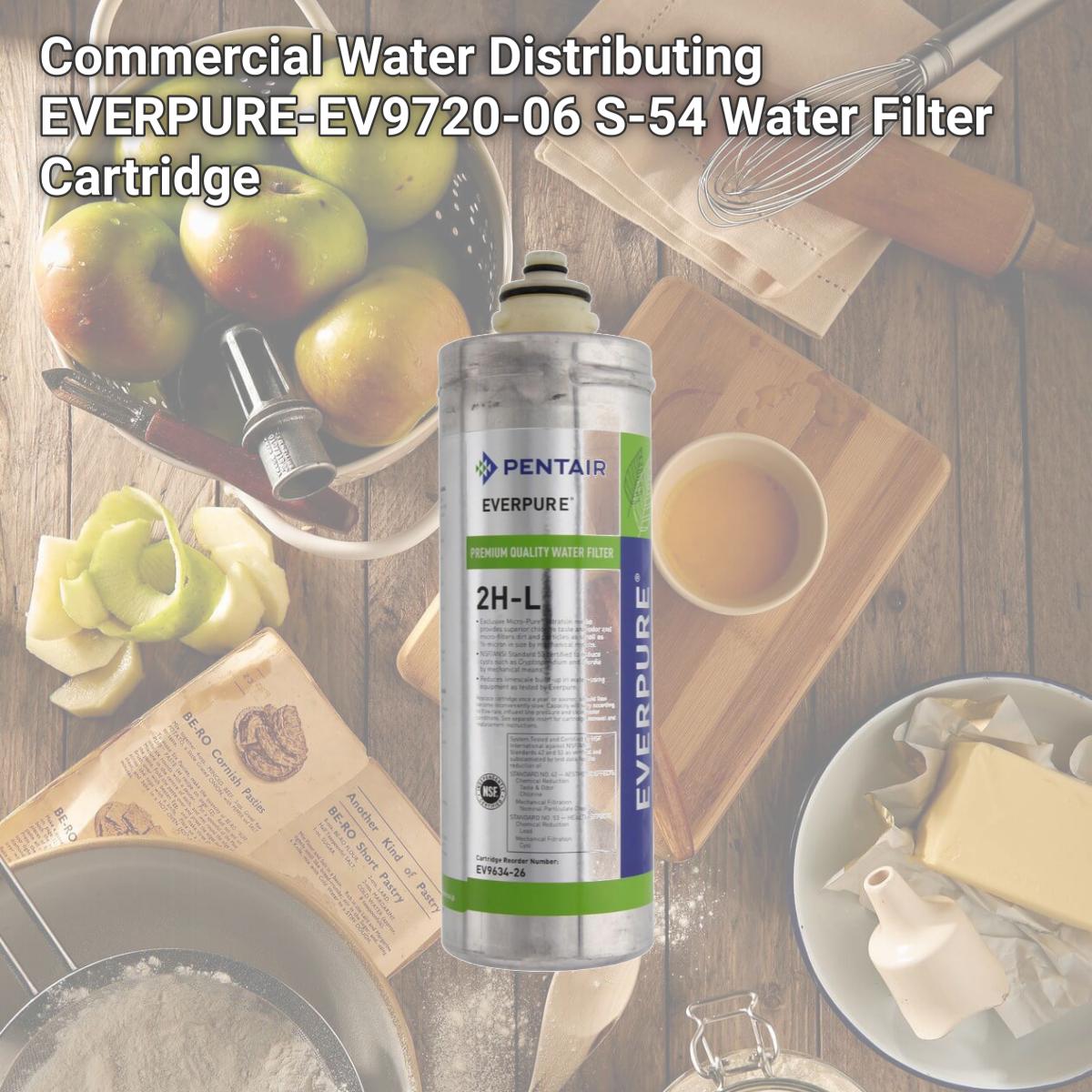 Picture of Commercial Water Distributing EVERPURE-EV9720-06 S-54 Water Filter Cartridge