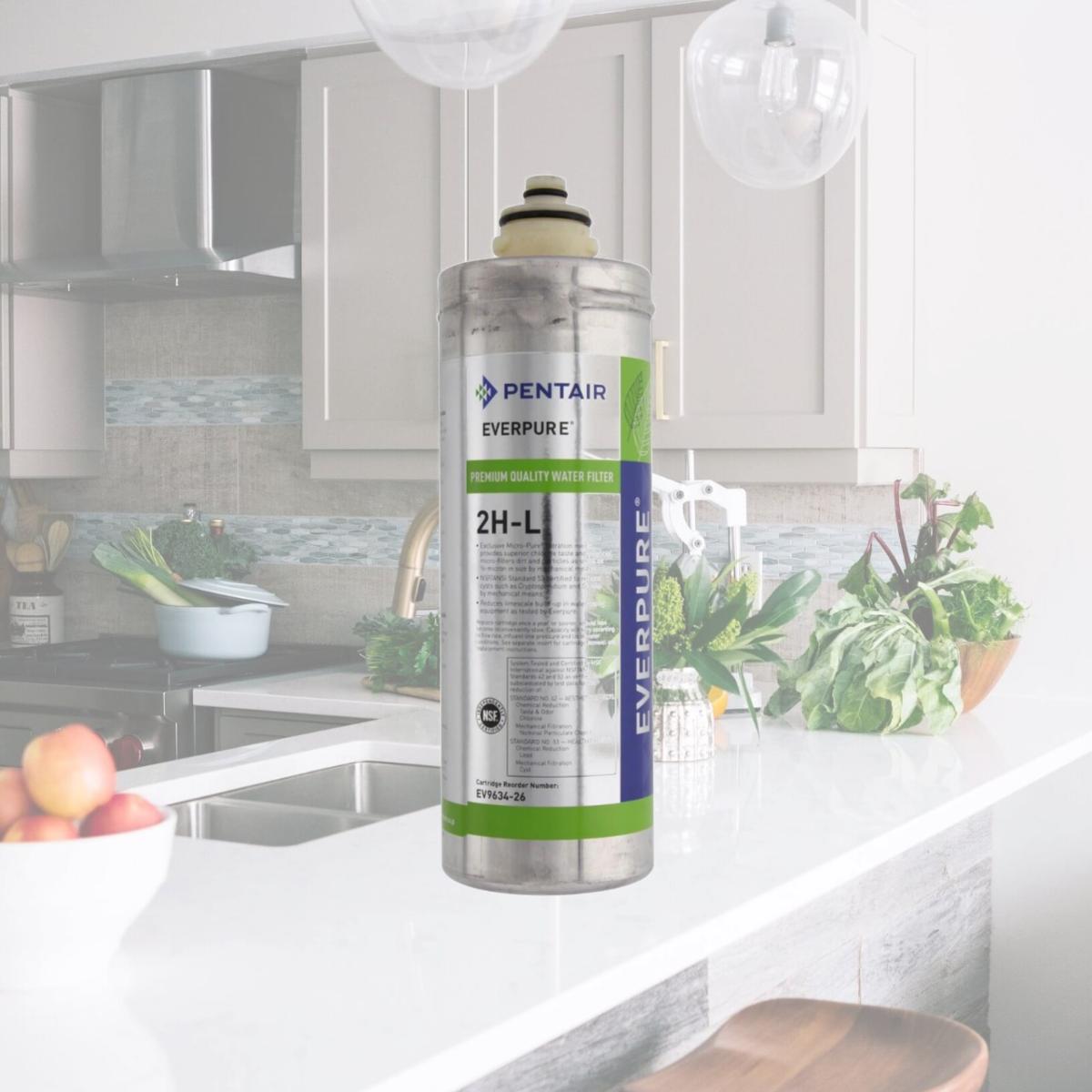 Picture of Commercial Water Distributing EVERPURE-EV9720-06 S-54 Water Filter Cartridge