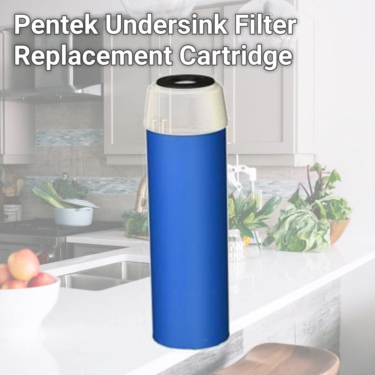 Picture of Commercial Water Distributing PENTEK-GAC-10 Pentek Undersink Filter Replacement Cartridge