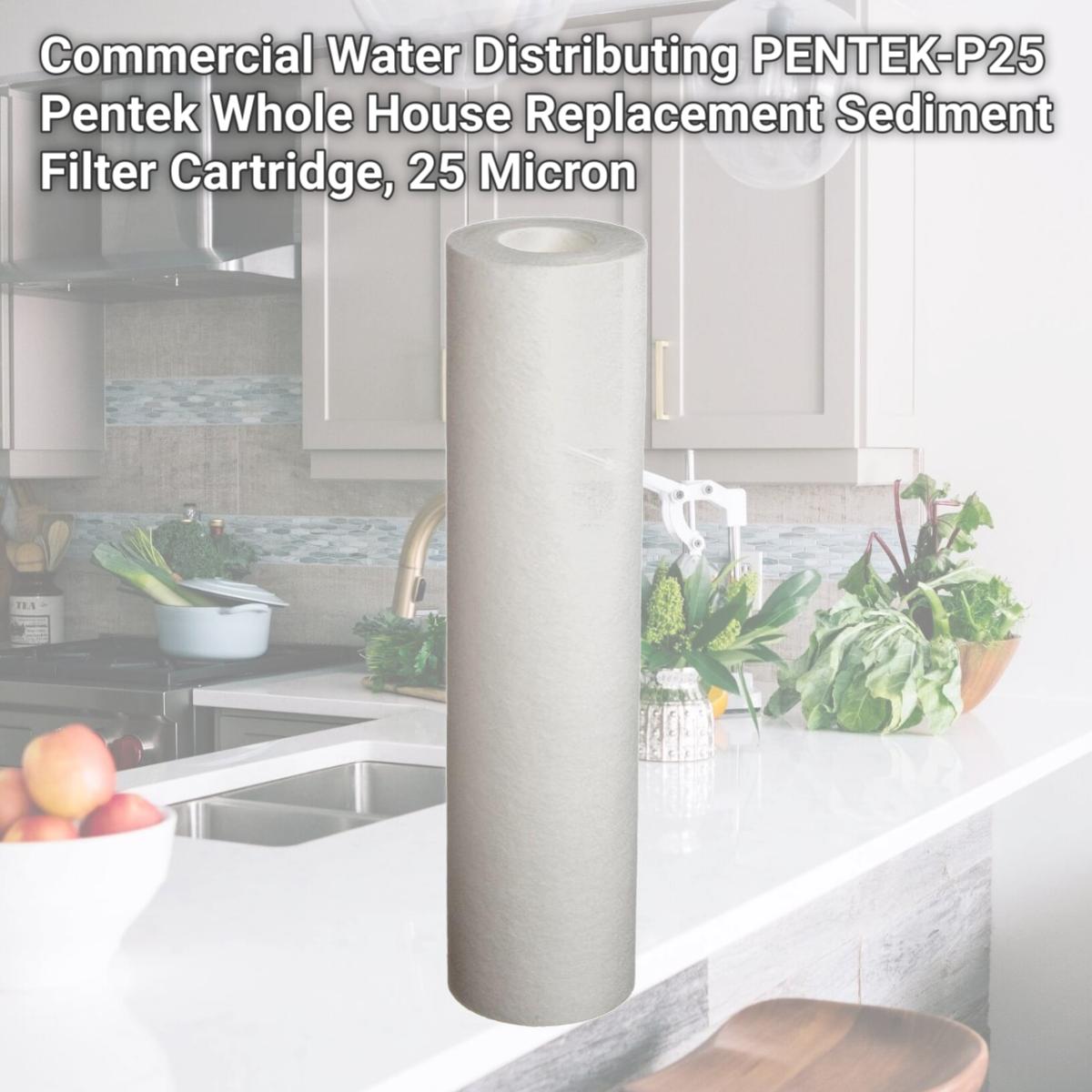 Picture of Commercial Water Distributing PENTEK-P25 Pentek Whole House Replacement Sediment Filter Cartridge, 25 Micron