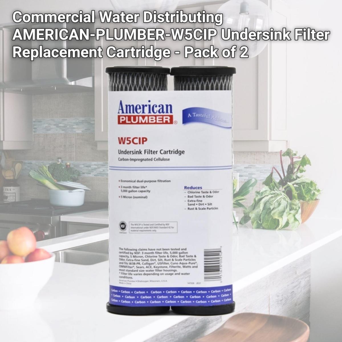 Picture of Commercial Water Distributing AMERICAN-PLUMBER-W5CIP Undersink Filter Replacement Cartridge - Pack of 2