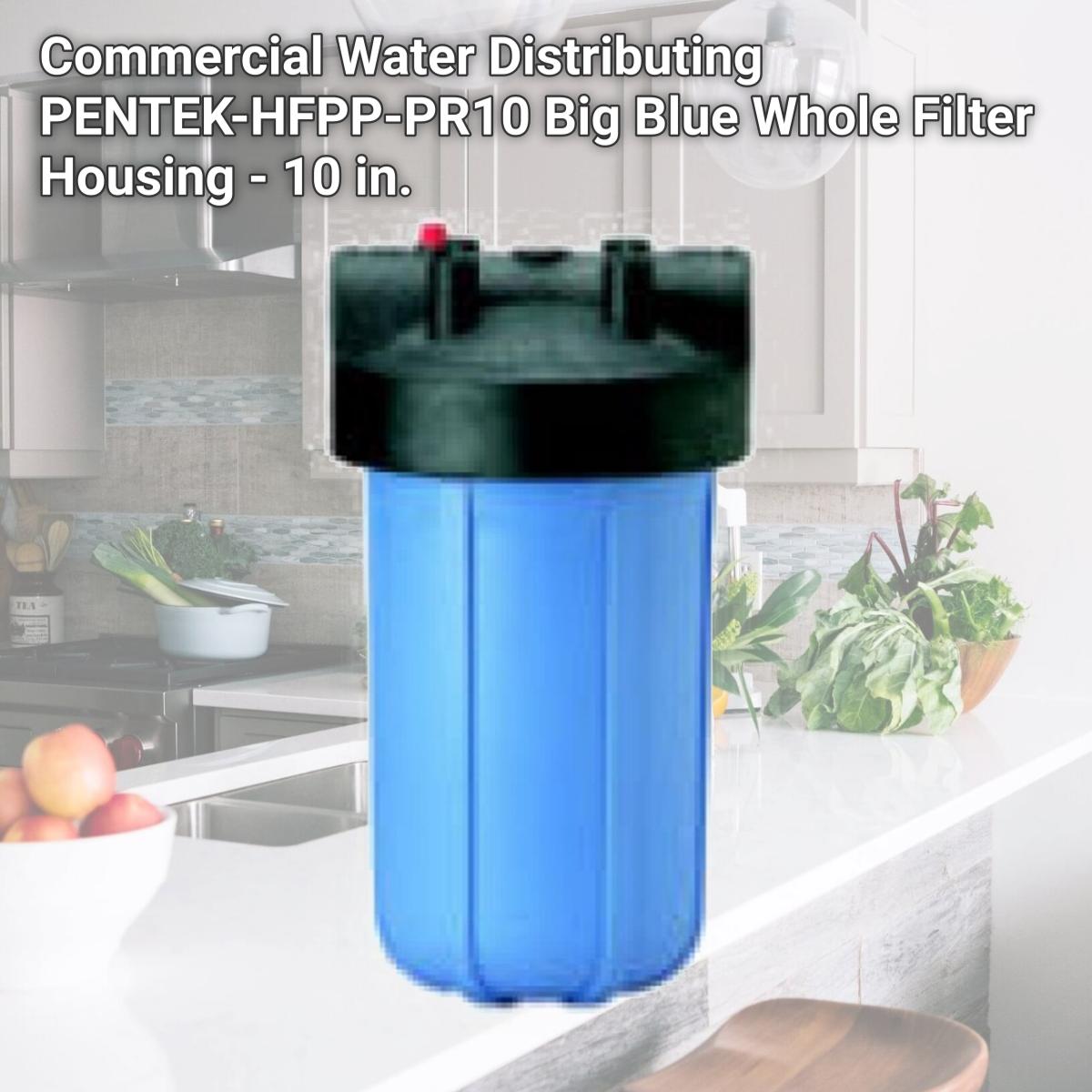 Picture of Commercial Water Distributing PENTEK-HFPP-PR10 Big Blue Whole Filter Housing - 10 in.
