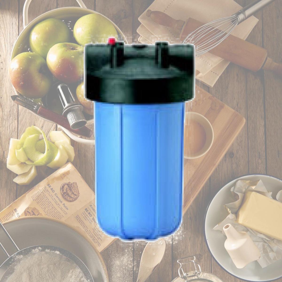 Picture of Commercial Water Distributing PENTEK-HFPP-PR10 Big Blue Whole Filter Housing - 10 in.