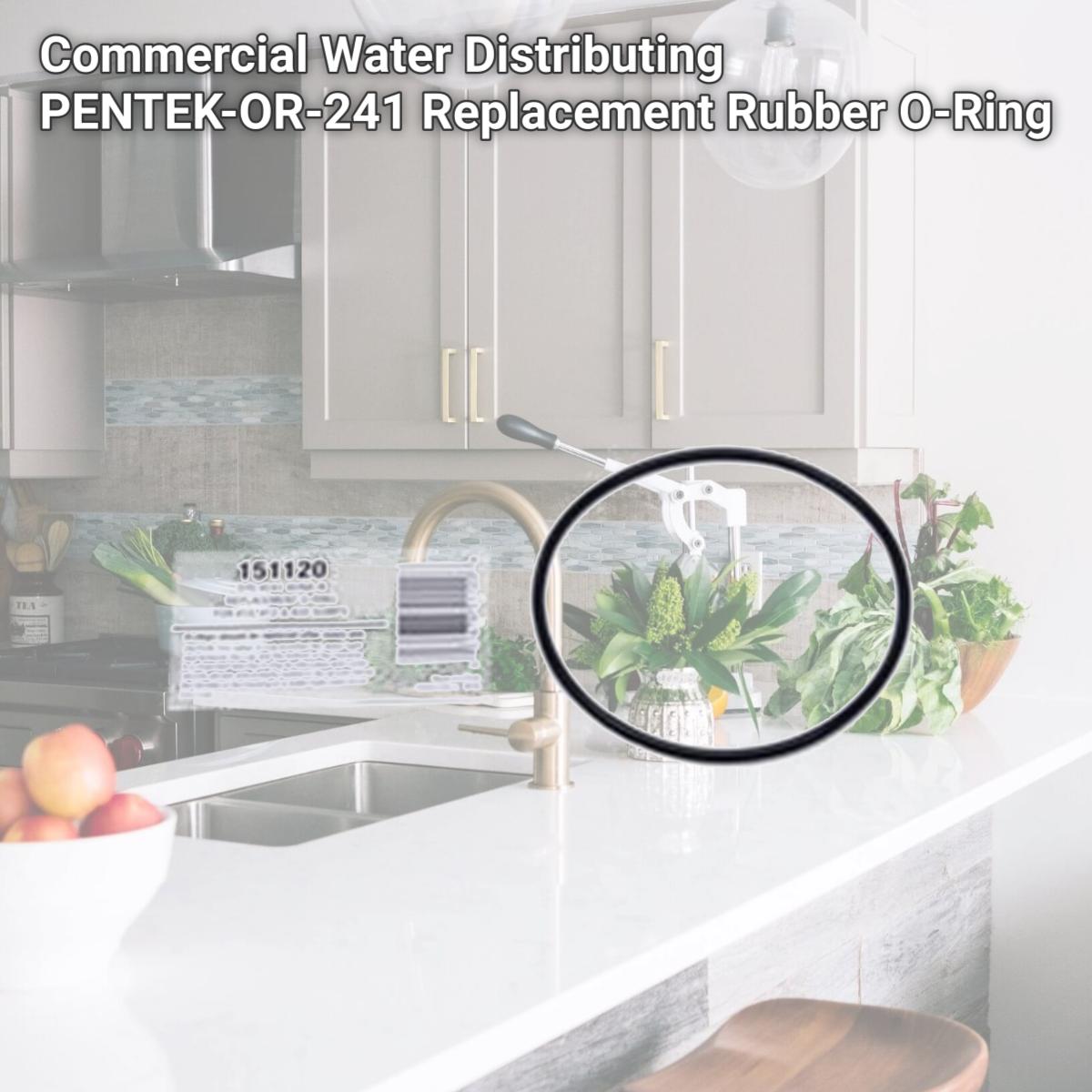 Picture of Commercial Water Distributing PENTEK-OR-241 Replacement Rubber O-Ring