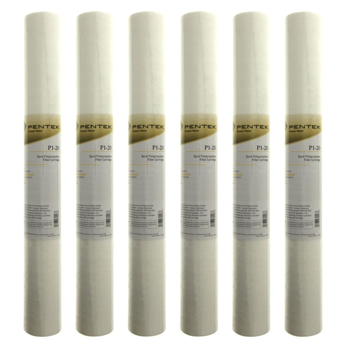 Pentek Whole House Filter Replacement Cartridge - 20 In.