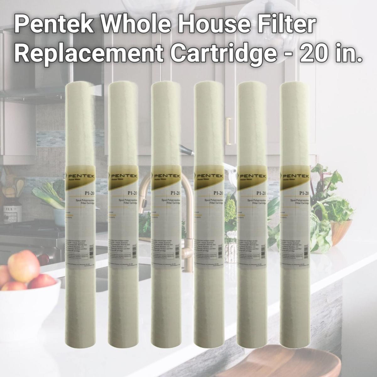 Picture of Commercial Water Distributing PENTEK-P1-20 Pentek Whole House Filter Replacement Cartridge - 20 in.
