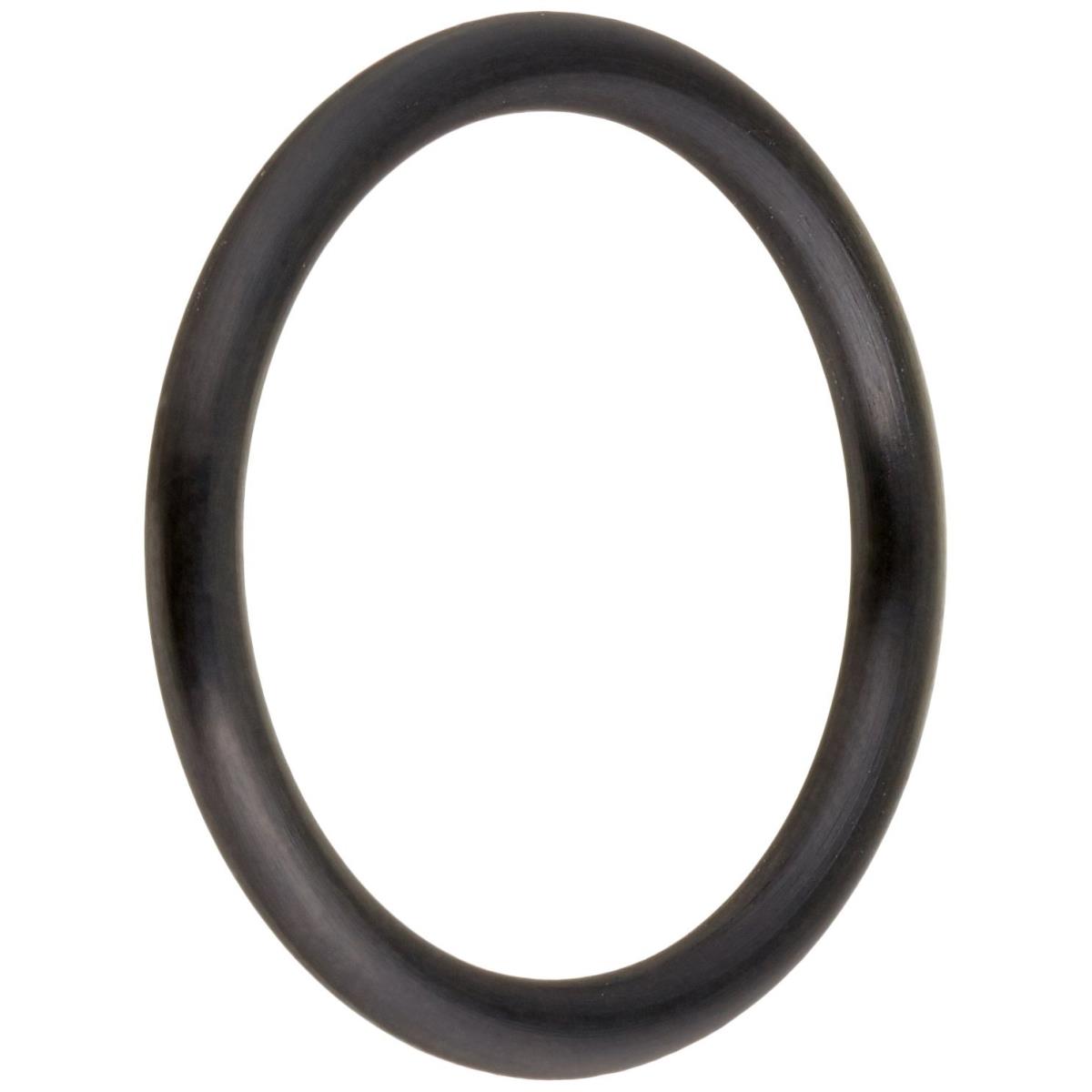 Omnipure Filter Head O-ring
