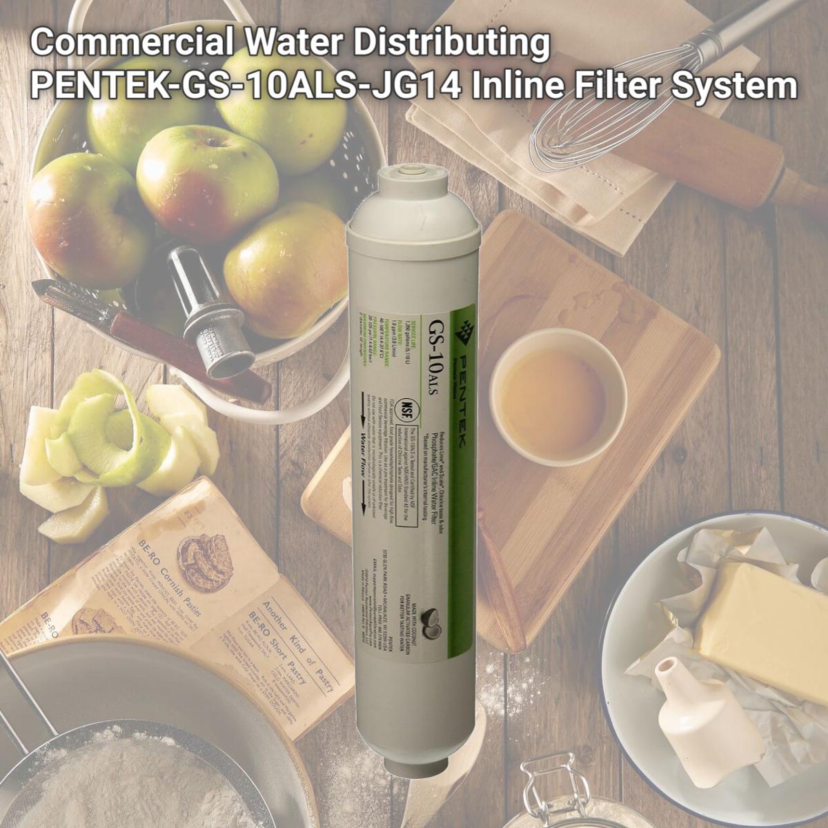 Picture of Commercial Water Distributing PENTEK-GS-10ALS-JG14 Inline Filter System