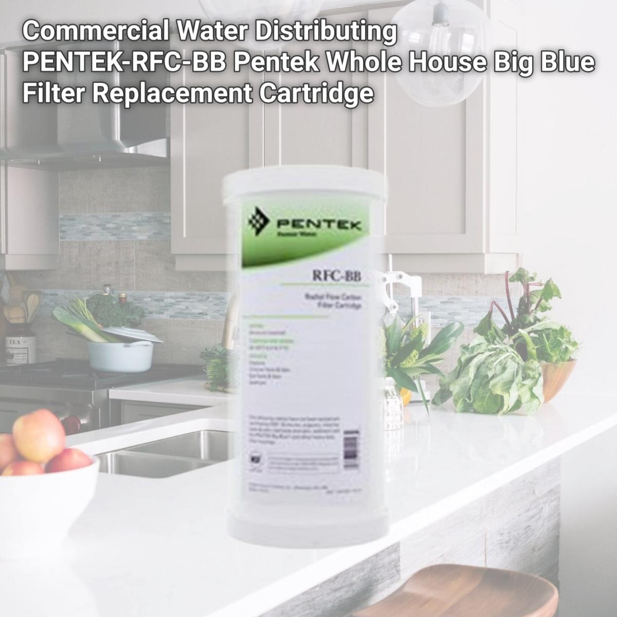 Picture of Commercial Water Distributing PENTEK-RFC-BB Pentek Whole House Big Blue Filter Replacement Cartridge