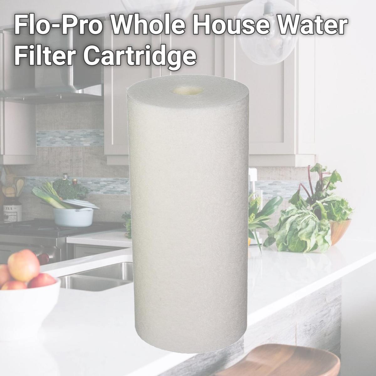 Picture of Commercial Water Distributing WATTS-FPMB-BB20-10 Flo-Pro Whole House Water Filter Cartridge