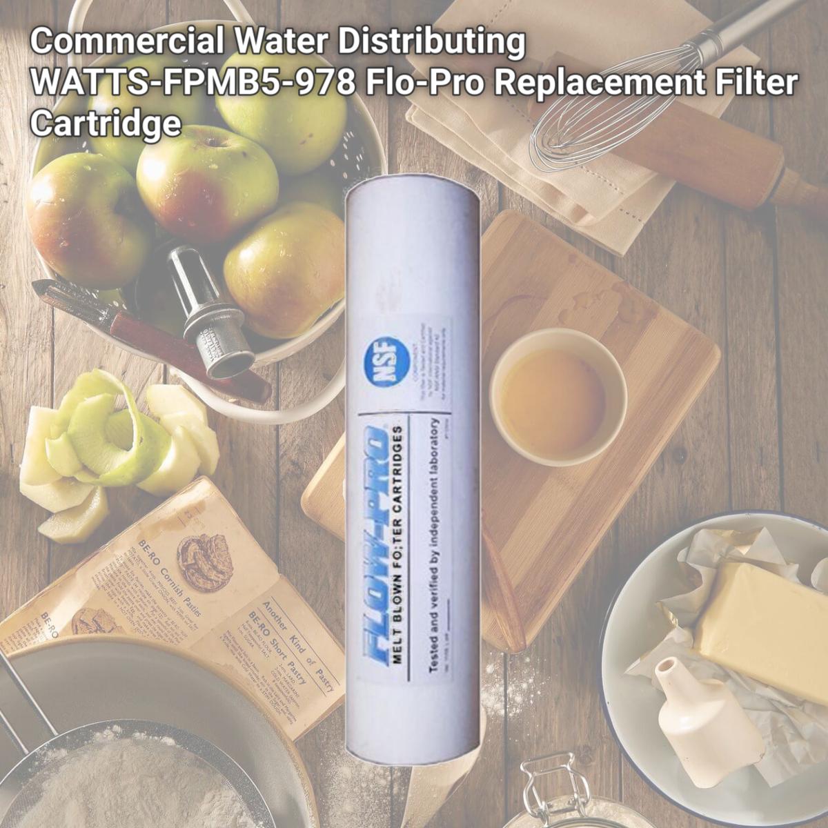 Picture of Commercial Water Distributing WATTS-FPMB5-978 Flo-Pro Replacement Filter Cartridge
