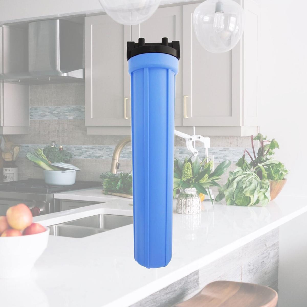 Picture of Commercial Water Distributing PENTEK-150069 Water Filter Housing - Blue