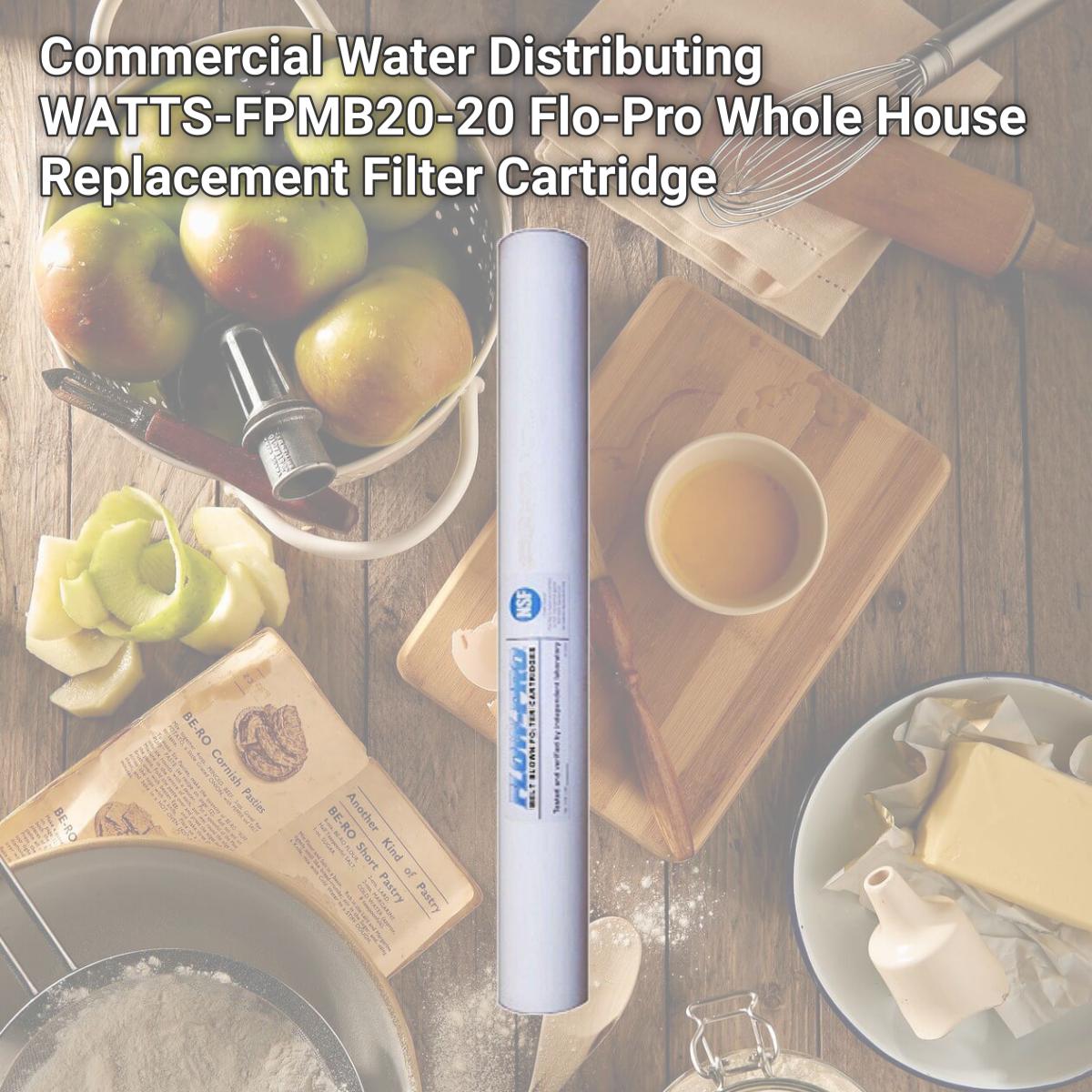 Picture of Commercial Water Distributing WATTS-FPMB20-20 Flo-Pro Whole House Replacement Filter Cartridge