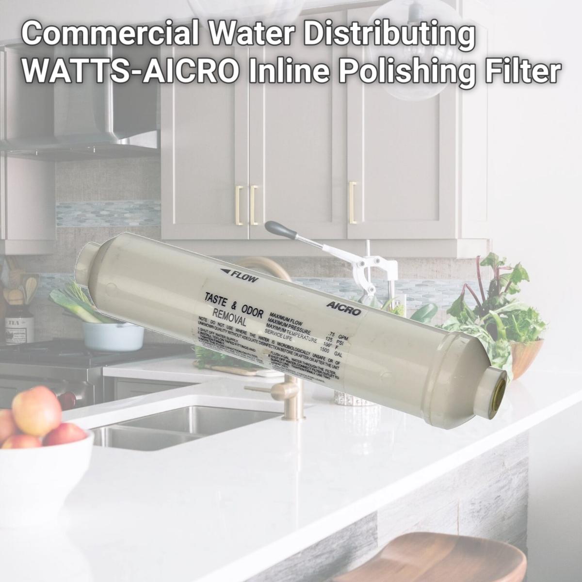 Picture of Commercial Water Distributing WATTS-AICRO Inline Polishing Filter