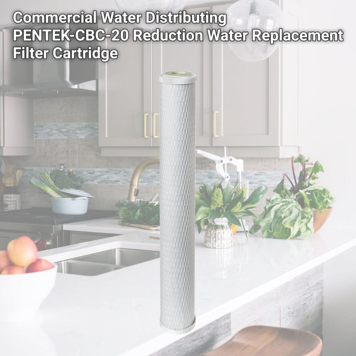 Picture of Commercial Water Distributing PENTEK-CBC-20 Reduction Water Replacement Filter Cartridge