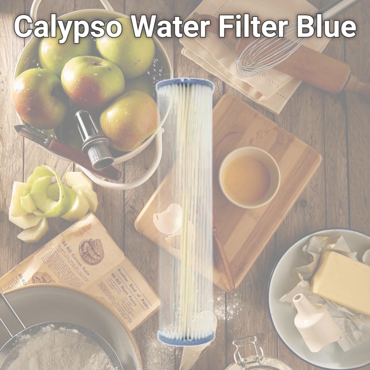 Picture of Commercial Water Distributing HARMSCO-PP-BB-20-1 Calypso Water Filter, Blue