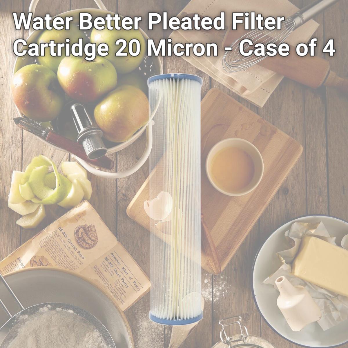 Picture of Commercial Water Distributing HARMSCO-WB-HB-20-20-W Water Better Pleated Filter Cartridge 20 Micron - Case of 4