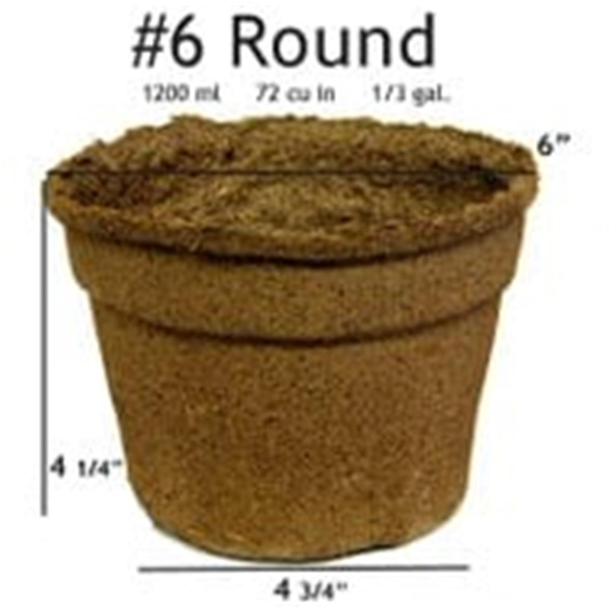 #6 Round Pot - 20 Pots