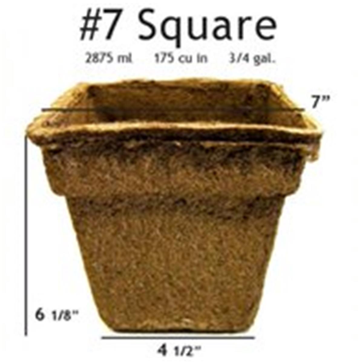 #7 Square Pot - 12 Pots