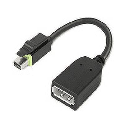 UPC 769593473317 product image for TS Mini DP to Display Port Adapter | upcitemdb.com