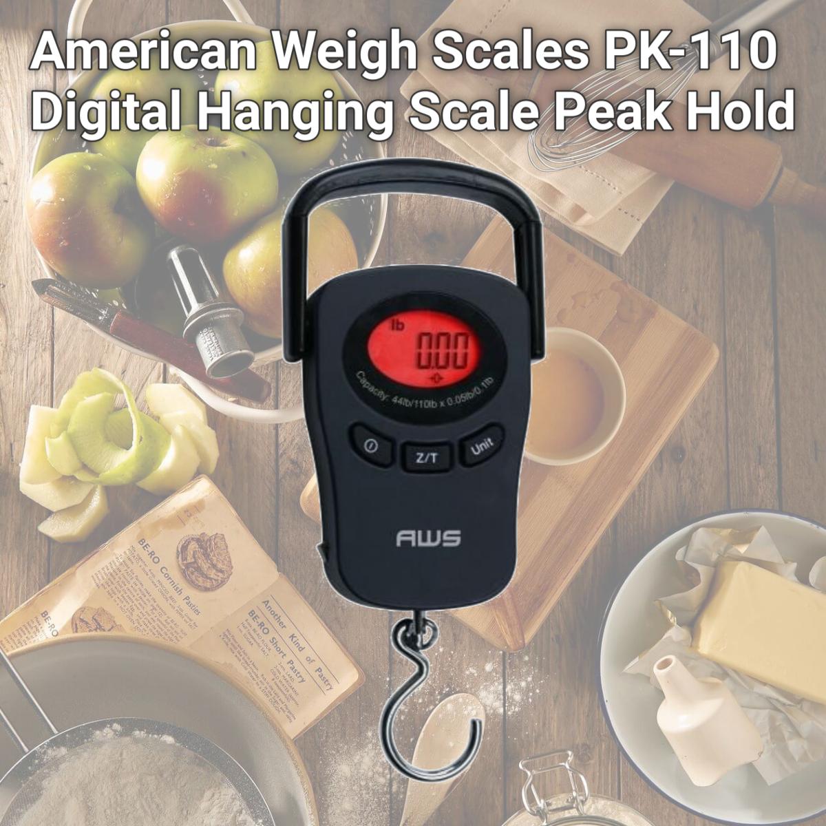 Picture of American Weigh Scales PK-110 Digital Hanging Scale Peak Hold