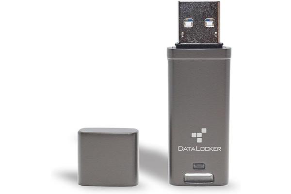 DataLocker DL GO 64GB Password-Protected, Encrypted USB-A Flash Drive AES FIPS 197 Optionally Managed