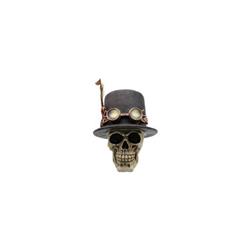 P754419 Design 1 Skull With Top Hat & Steampunk