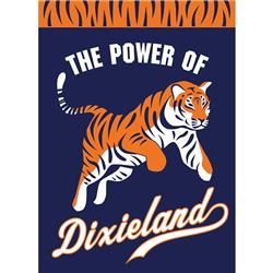 00307 The Power Of Dixieland Tiger House Flag - Large