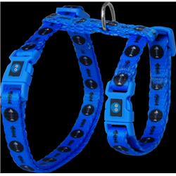 Dcat202 1072-m2 Heat Transfer Design Cat Harness & Leash, Blue