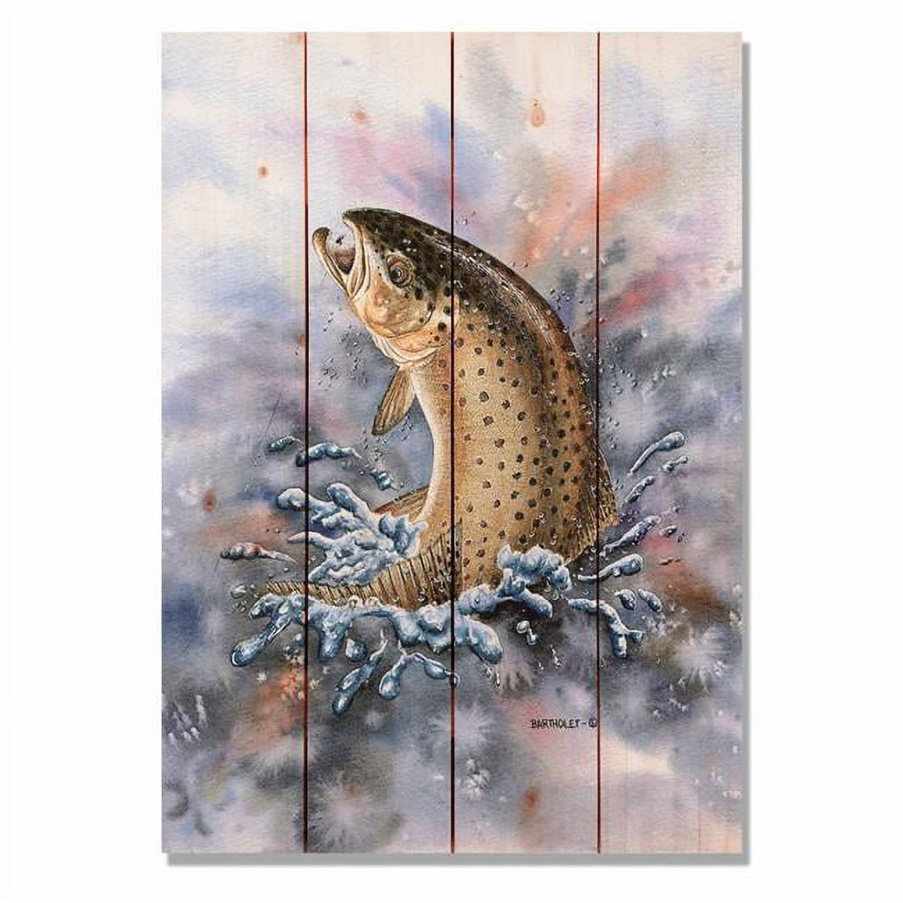 Day Dream Hq Dbfo1420 14 X 20 In. Bartholets Fish On - Brown Trout Wall Art