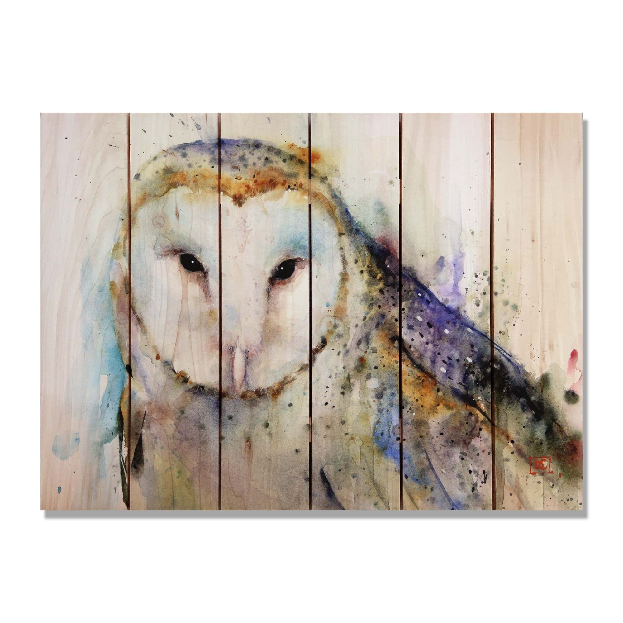 33 X 24 In. Crousers Barn Owl Inside & Outside Cedar Wall Art