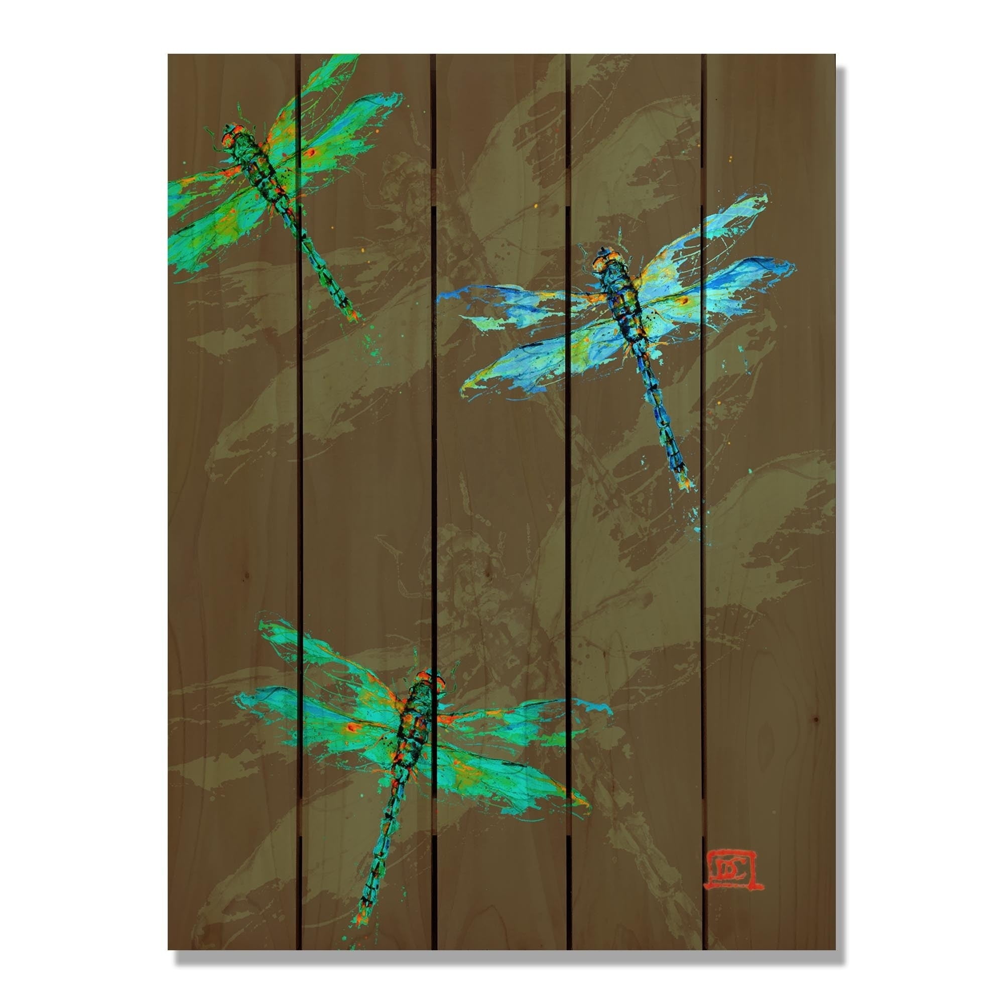 28 X 36 In. Crousers Neon Dragonflies Inside & Outside Cedar Wall Art