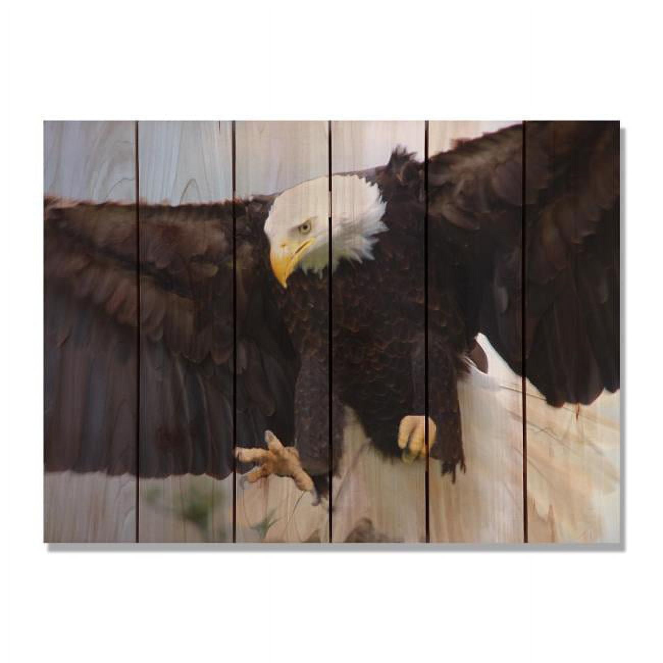 Day Dream Hq Bae3324 33 X 24 In. Bald Eagle Inside & Outside Cedar Wall Art