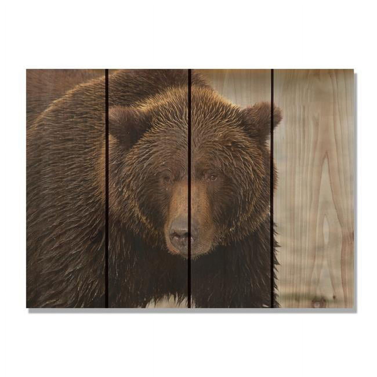 Day Dream Hq Bb2216 22 X 16 In. Big Bear Inside & Outside Cedar Wall Art