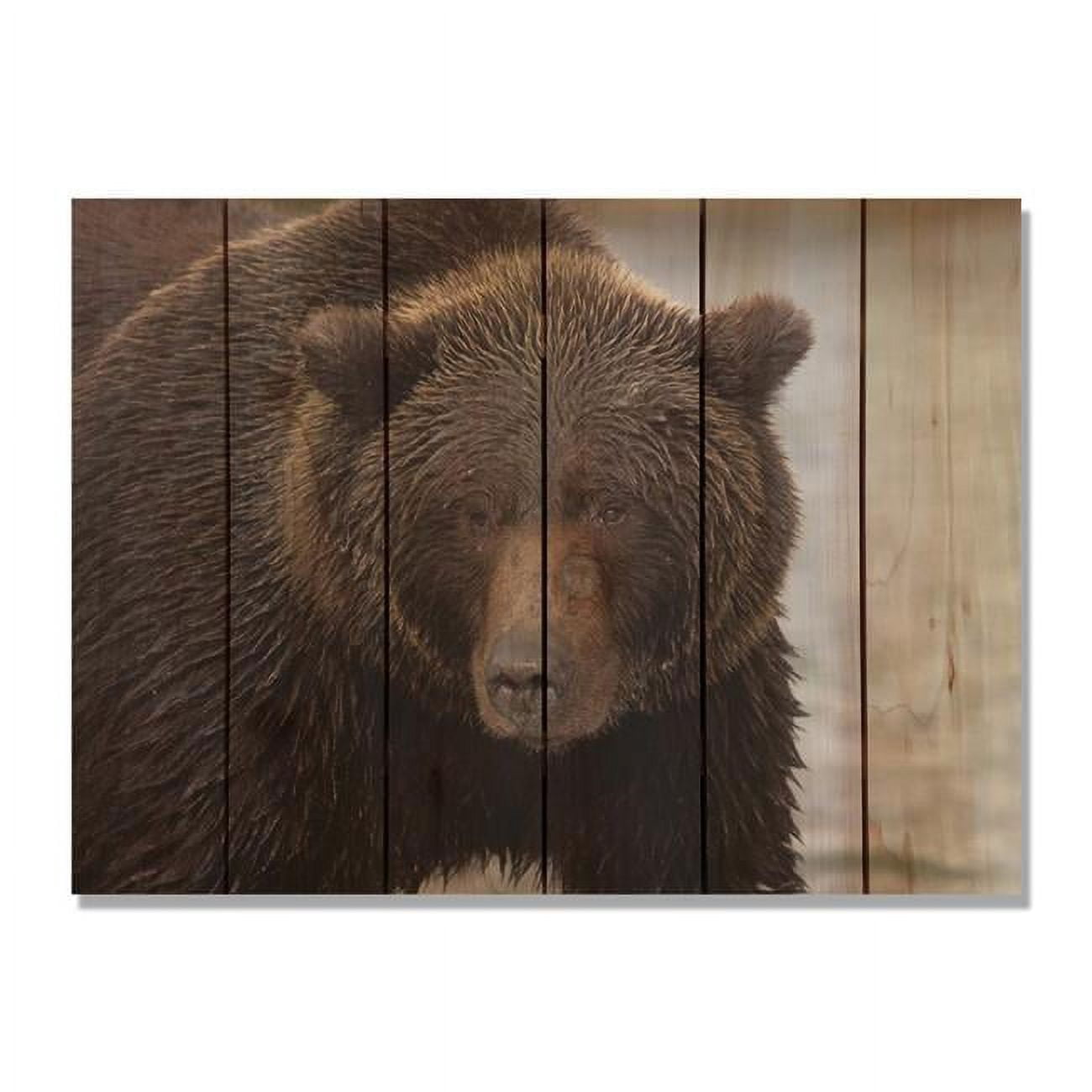 Day Dream Hq Bb3324 33 X 24 In. Big Bear Inside & Outside Cedar Wall Art