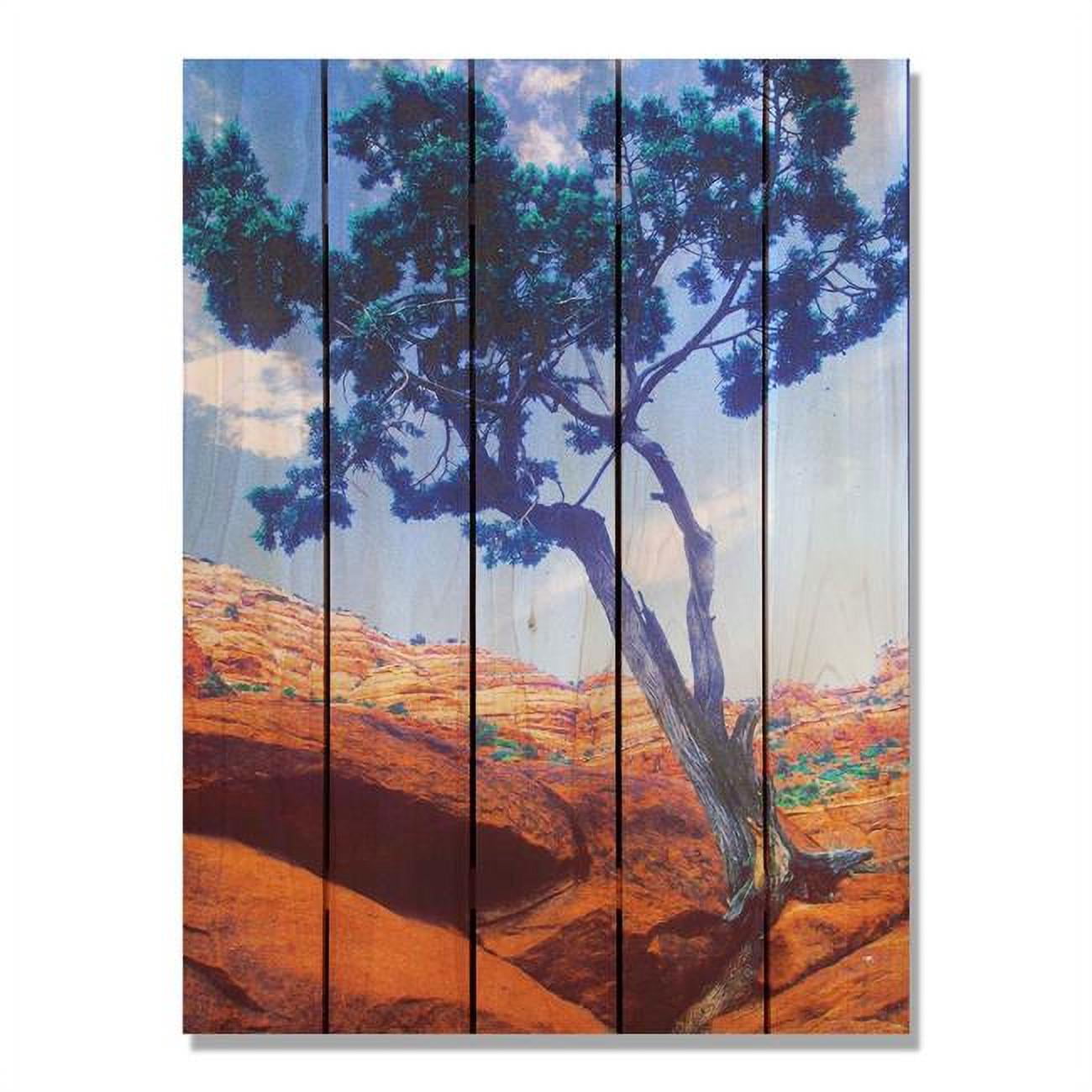 28 X 36 In. Desert Tree Inside & Outside Cedar Wall Art
