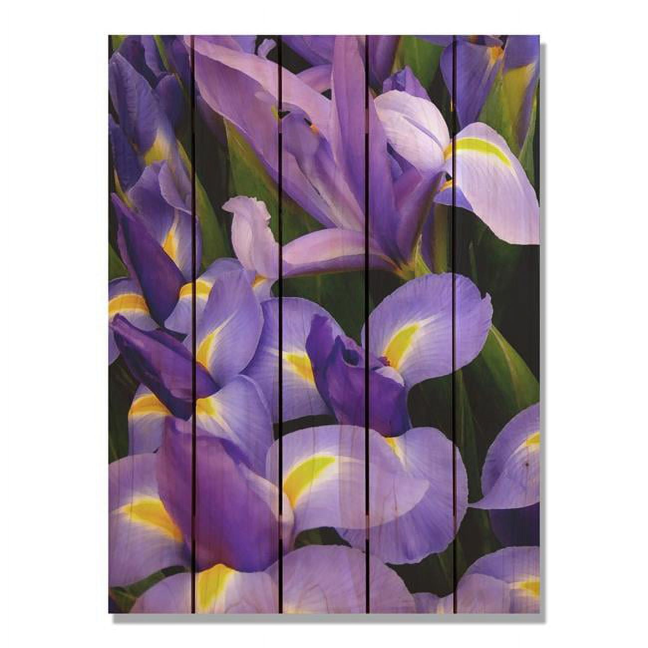 28 X 36 In. French Iris Inside & Outside Cedar Wall Art