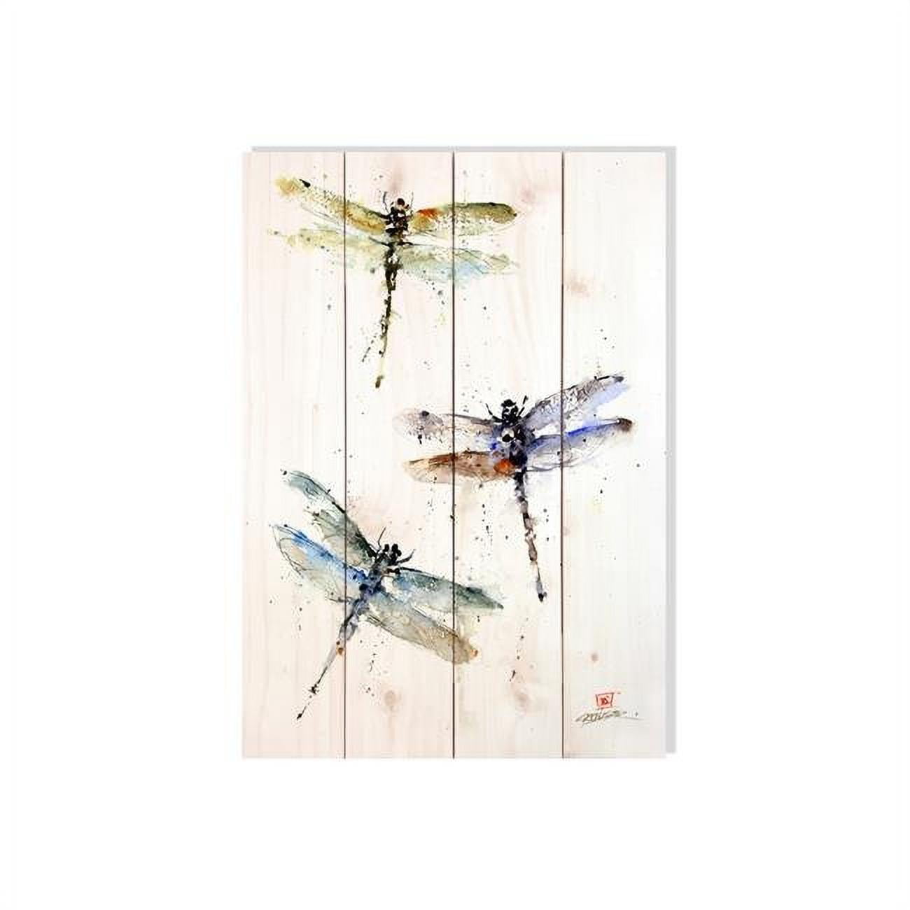 14 X 20 In. Three Dragonflies Wall Art