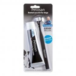 UPC 810969000139 product image for Petosan USA POS22054 Petosan Cesar Millan Pet Dental Kit Double Headed Toothbrus | upcitemdb.com