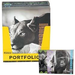 2324559 Portfolio - African Animals - Case Of 48
