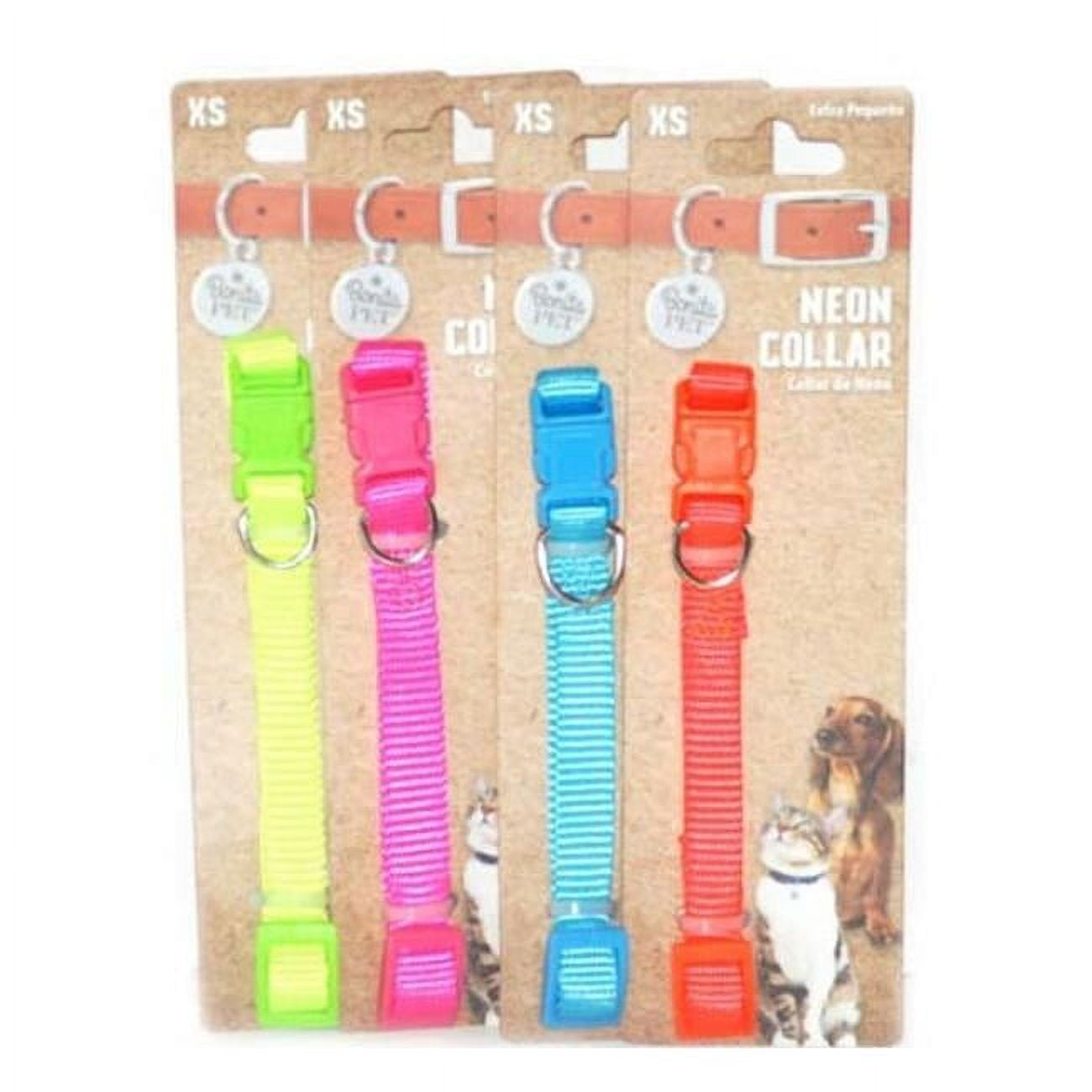 2332234 Neon Pet Collar, Assorted Color - Extra Small - Case Of 96