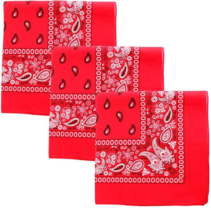 Cotton Bandanas - Paisley, Bright Red case of 120