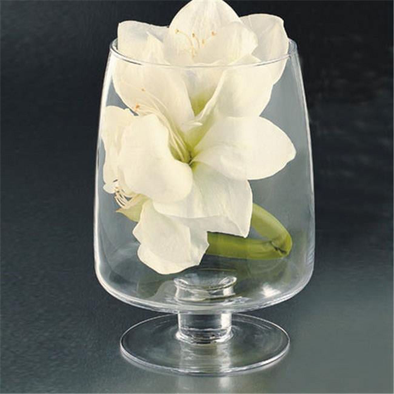 64256 10 X 7 In. Glass Candle Holder, Clear