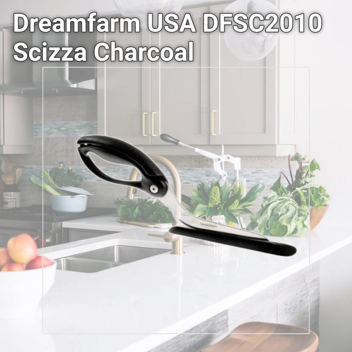 Picture of Dreamfarm USA DFSC2010 Scizza Charcoal